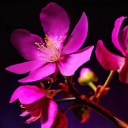 THE RITUAL OF YOZAKURA Fragrance Sticks - Аромадифузор для дому, 70ml - Blush