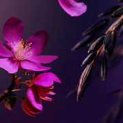 Подарунковий набір The Ritual of Yozakura Gift Set S - Blush